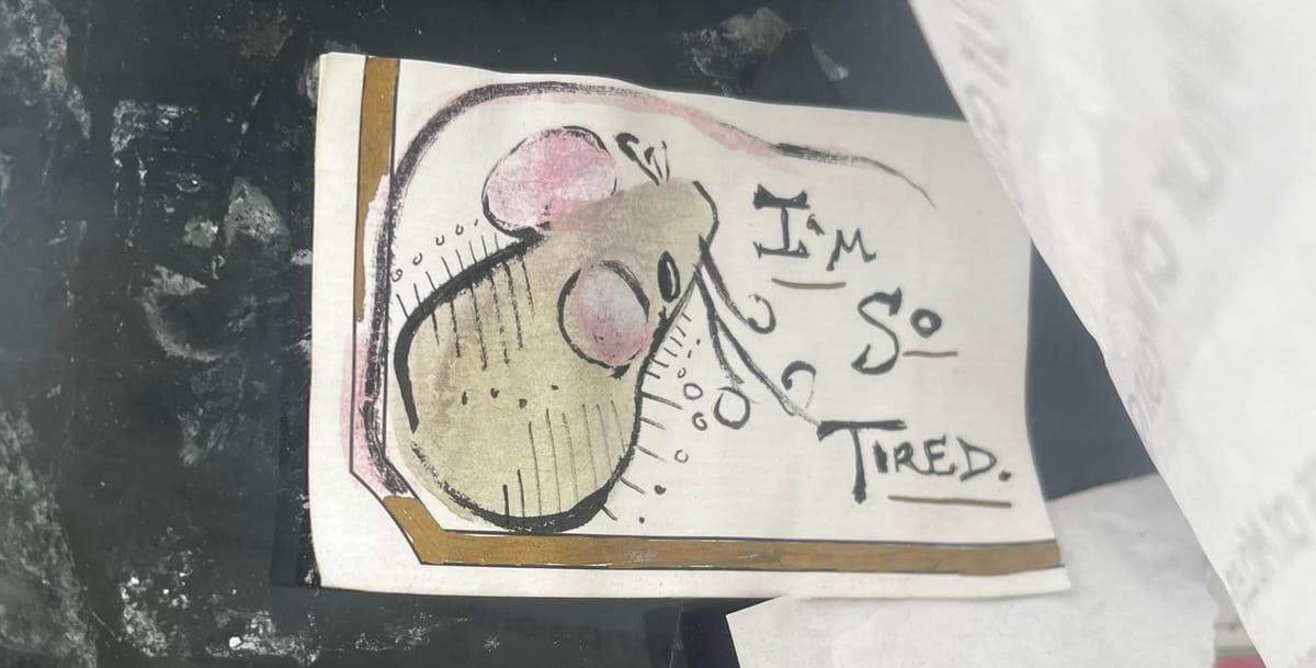 Factors of coincidence: I see you are tired, I am tired too.